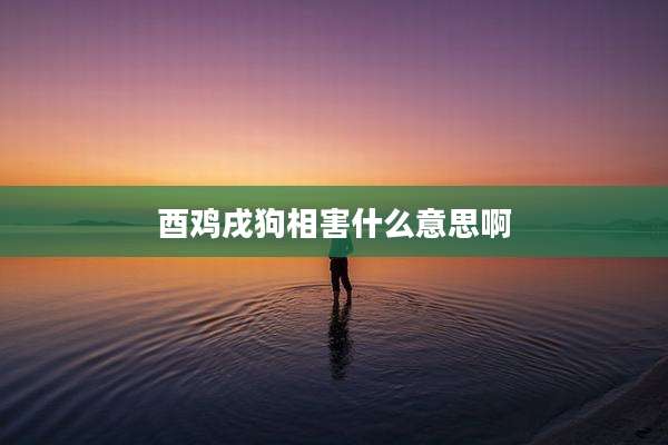 酉鸡戌狗相害什么意思啊