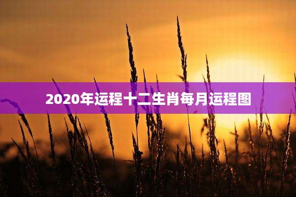 2020年运程十二生肖每月运程图
