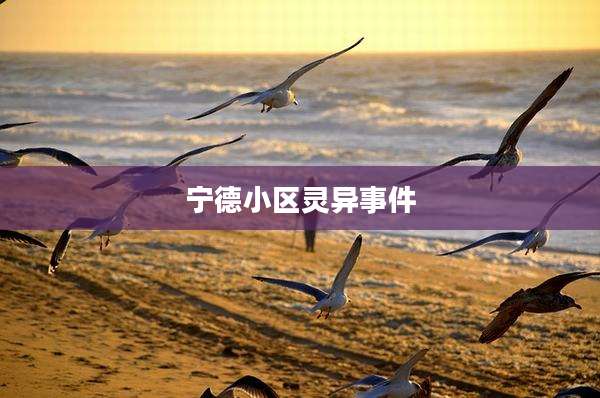 宁德小区灵异事件
