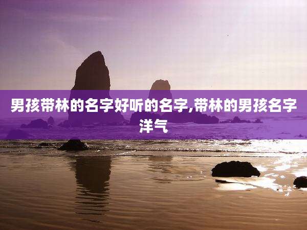 男孩带林的名字好听的名字,带林的男孩名字洋气