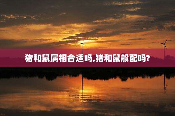 猪和鼠属相合适吗,猪和鼠般配吗?