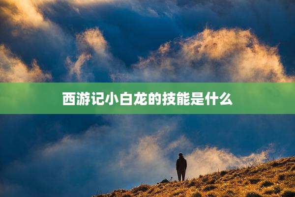 西游记小白龙的技能是什么