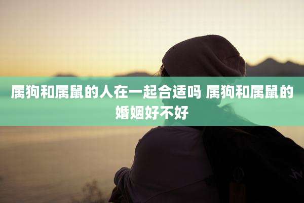 属狗和属鼠的人在一起合适吗 属狗和属鼠的婚姻好不好