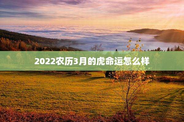 2022农历3月的虎命运怎么样