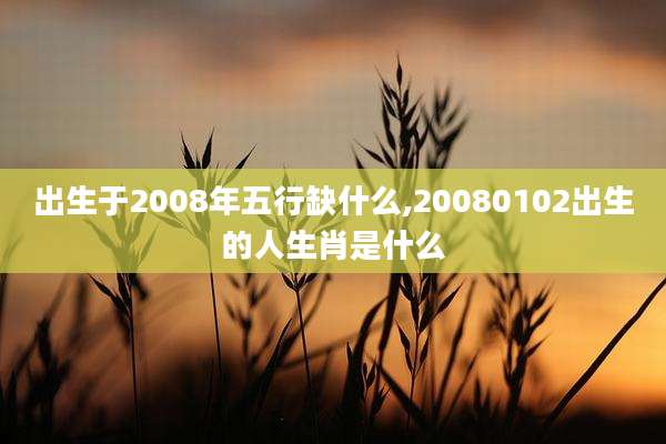 出生于2008年五行缺什么,20080102出生的人生肖是什么