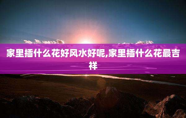 家里插什么花好风水好呢,家里插什么花最吉祥