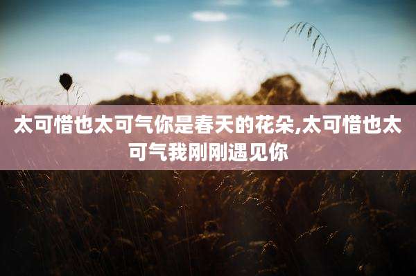 太可惜也太可气你是春天的花朵,太可惜也太可气我刚刚遇见你