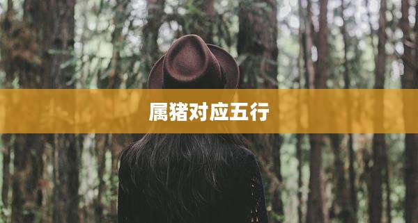 属猪对应五行
