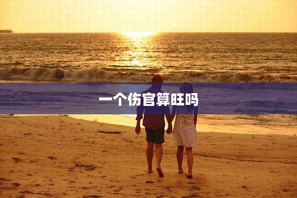 一个伤官算旺吗