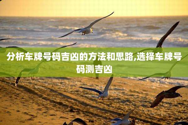 分析车牌号码吉凶的方法和思路,选择车牌号码测吉凶