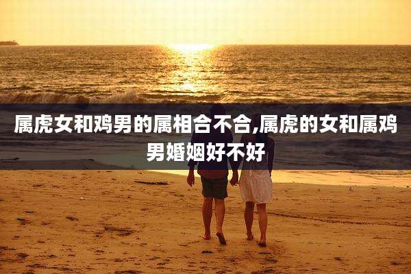 属虎女和鸡男的属相合不合,属虎的女和属鸡男婚姻好不好