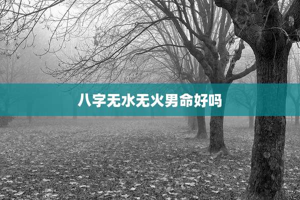 八字无水无火男命好吗