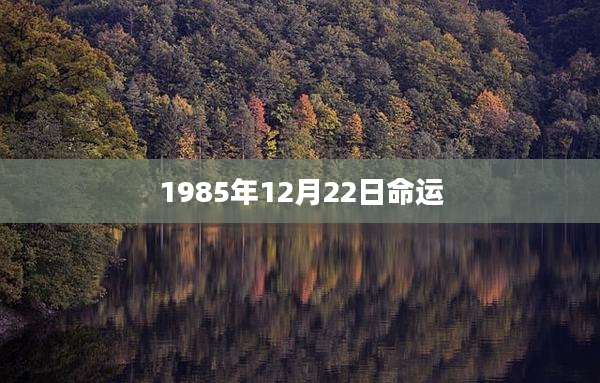 1985年12月22日命运