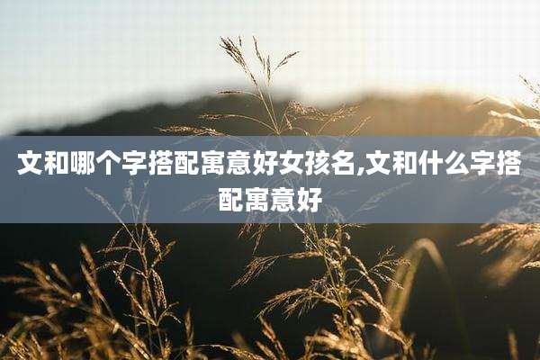文和哪个字搭配寓意好女孩名,文和什么字搭配寓意好