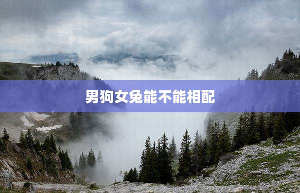 男狗女兔能不能相配