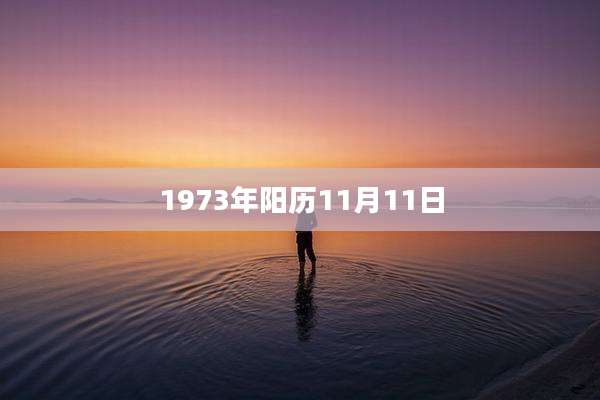 1973年阳历11月11日