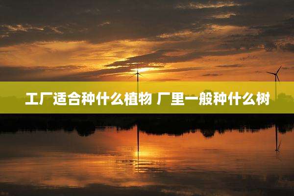 工厂适合种什么植物 厂里一般种什么树
