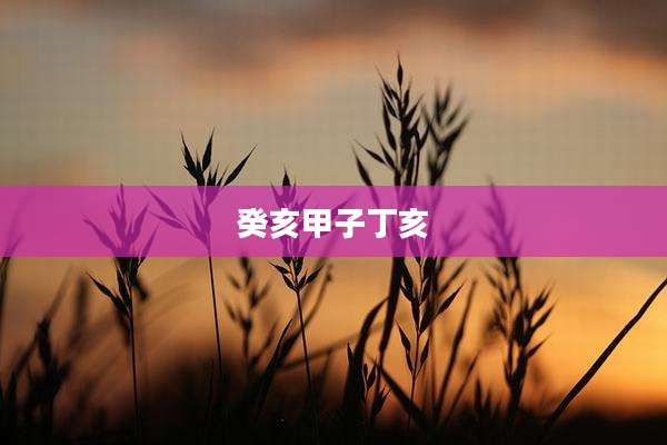 癸亥甲子丁亥