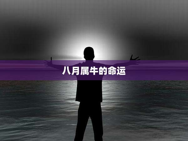 八月属牛的命运