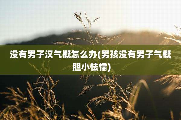 没有男子汉气概怎么办(男孩没有男子气概 胆小怯懦)