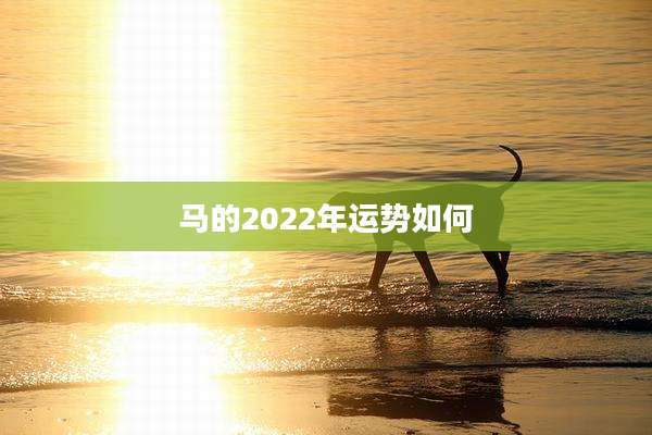 马的2022年运势如何