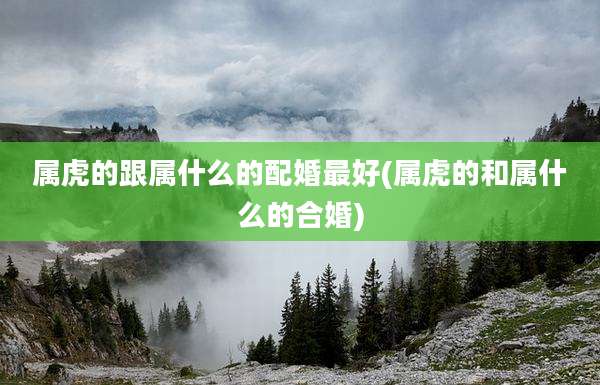 属虎的跟属什么的配婚最好(属虎的和属什么的合婚)