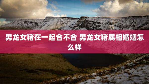 男龙女猪在一起合不合 男龙女猪属相婚姻怎么样