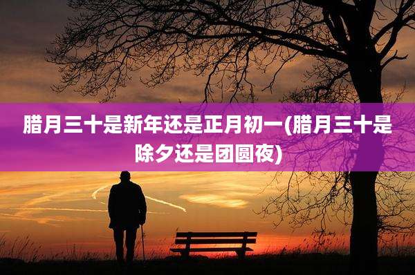 腊月三十是新年还是正月初一(腊月三十是除夕还是团圆夜)