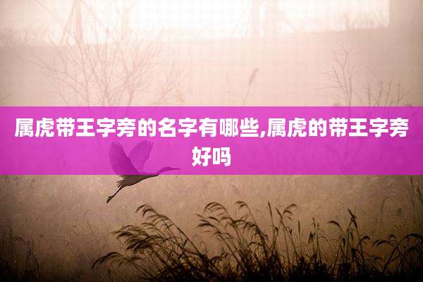 属虎带王字旁的名字有哪些,属虎的带王字旁好吗