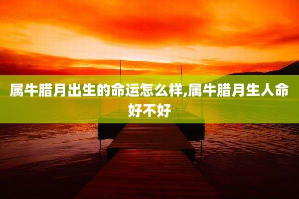 属牛腊月出生的命运怎么样,属牛腊月生人命好不好