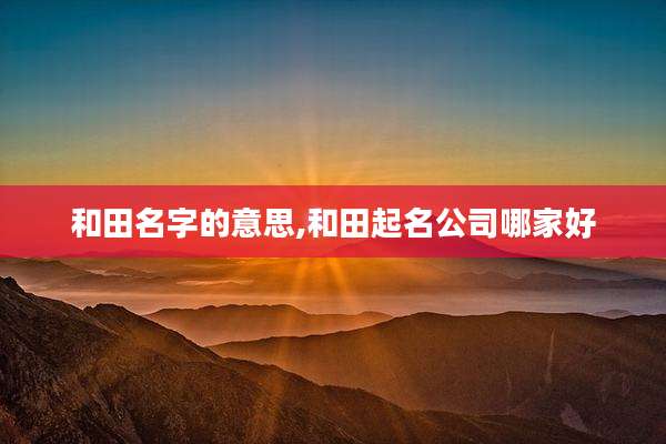 和田名字的意思,和田起名公司哪家好