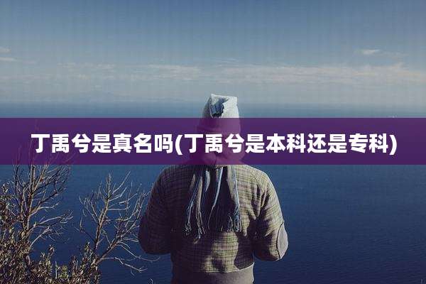 丁禹兮是真名吗(丁禹兮是本科还是专科)