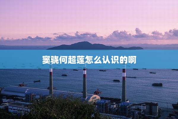 窦骁何超莲怎么认识的啊