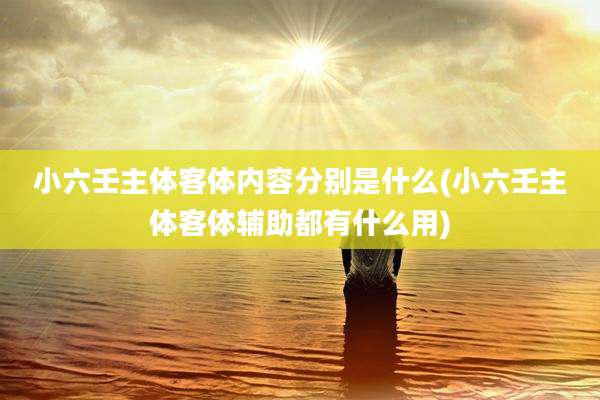 小六壬主体客体内容分别是什么(小六壬主体客体辅助都有什么用)