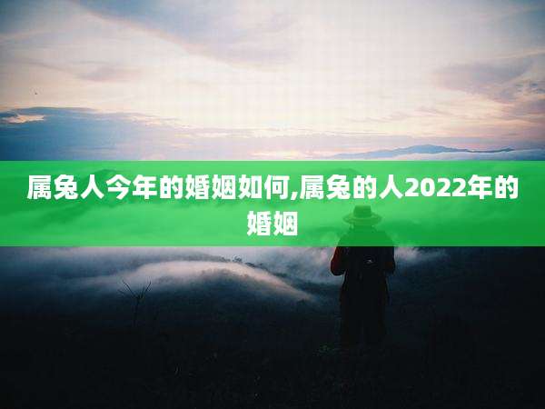 属兔人今年的婚姻如何,属兔的人2022年的婚姻