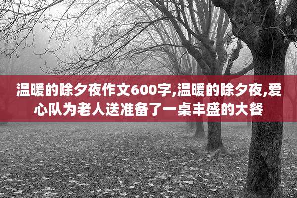 温暖的除夕夜作文600字,温暖的除夕夜,爱心队为老人送准备了一桌丰盛的大餐
