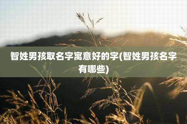智姓男孩取名字寓意好的字(智姓男孩名字有哪些)