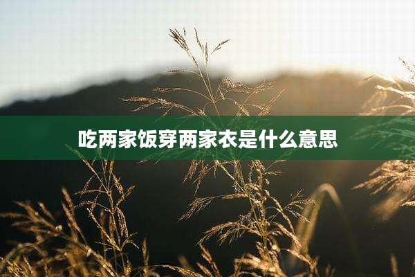 吃两家饭穿两家衣是什么意思