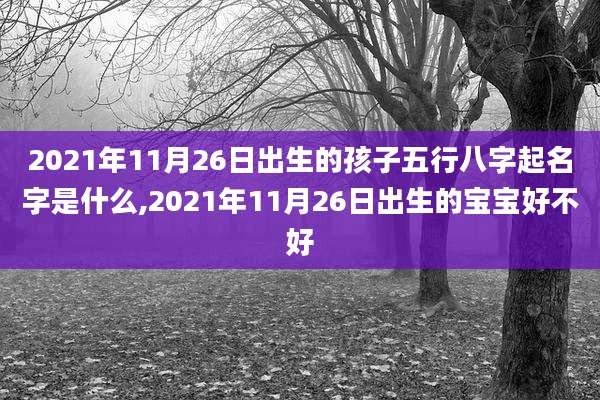 2021年11月26日出生的孩子五行八字起名字是什么,2021年11月26日出生的宝宝好不好