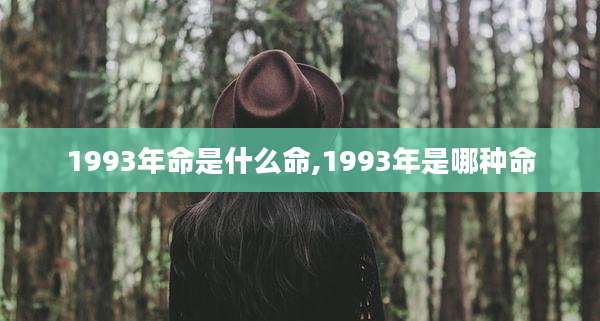 1993年命是什么命,1993年是哪种命