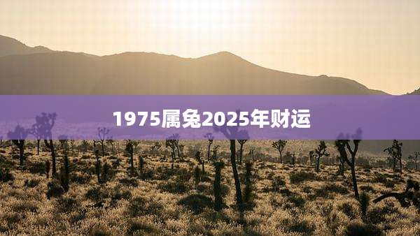 1975属兔2025年财运