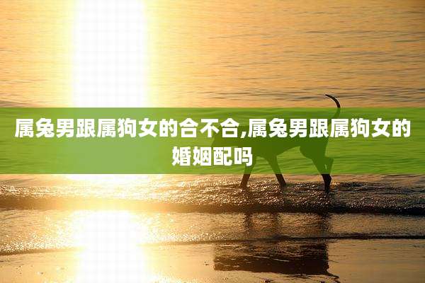 属兔男跟属狗女的合不合,属兔男跟属狗女的婚姻配吗