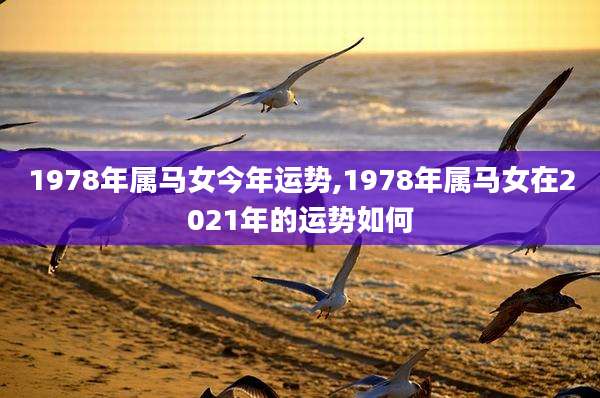 1978年属马女今年运势,1978年属马女在2021年的运势如何