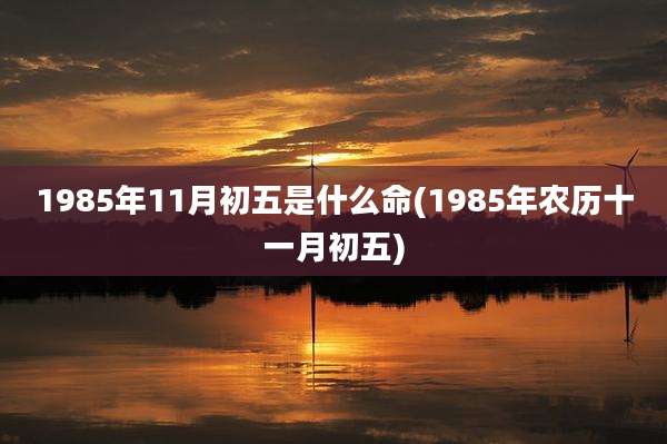 1985年11月初五是什么命(1985年农历十一月初五)