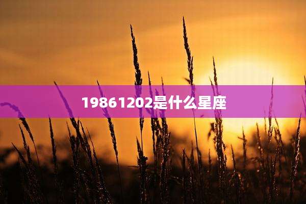19861202是什么星座