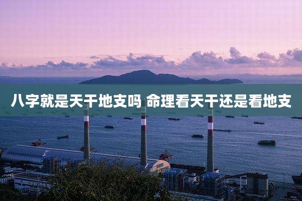 八字就是天干地支吗 命理看天干还是看地支