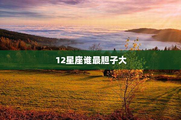 12星座谁最胆子大