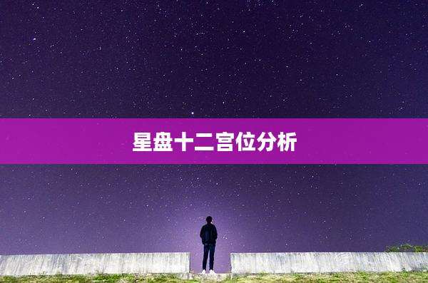星盘十二宫位分析
