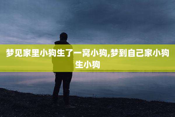 梦见家里小狗生了一窝小狗,梦到自己家小狗生小狗