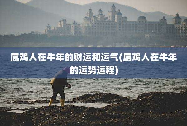 属鸡人在牛年的财运和运气(属鸡人在牛年的运势运程)